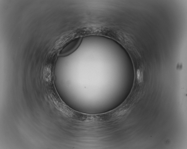 X0000112031203200908031428
