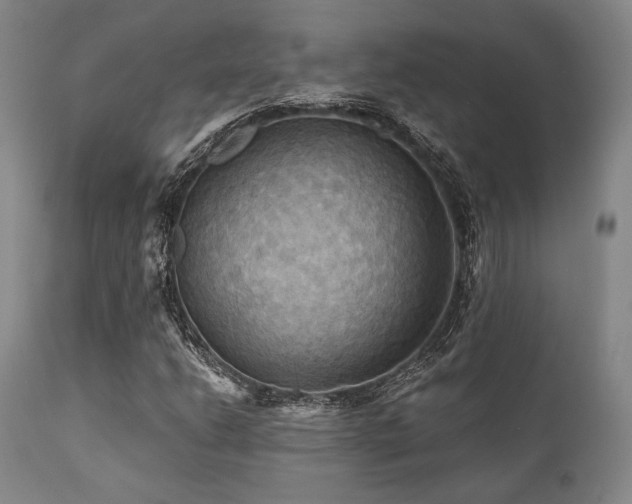 X0000112031206200908031428