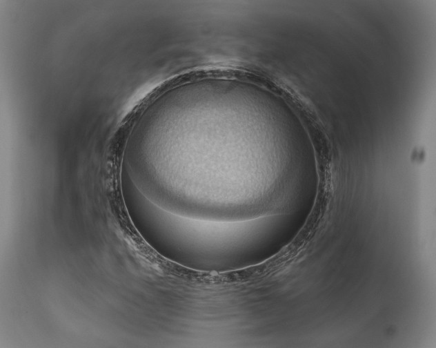 X0000112031208200908031428