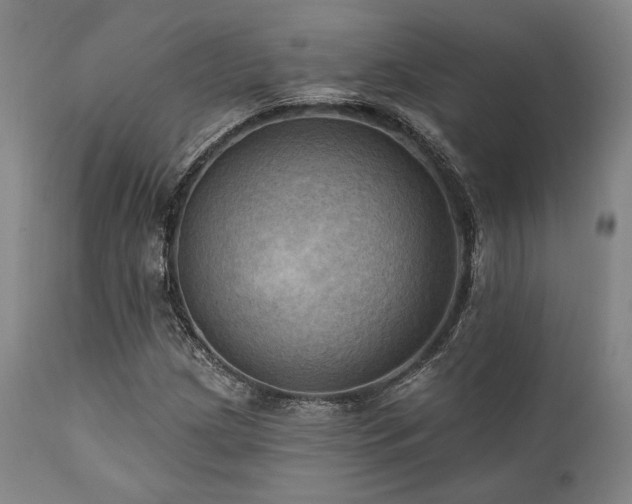 X0000112031209200908031428
