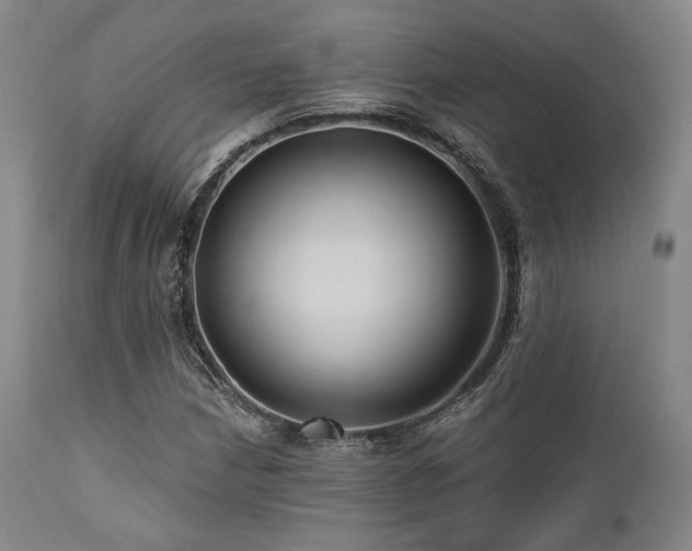 X0000112031210200908031428