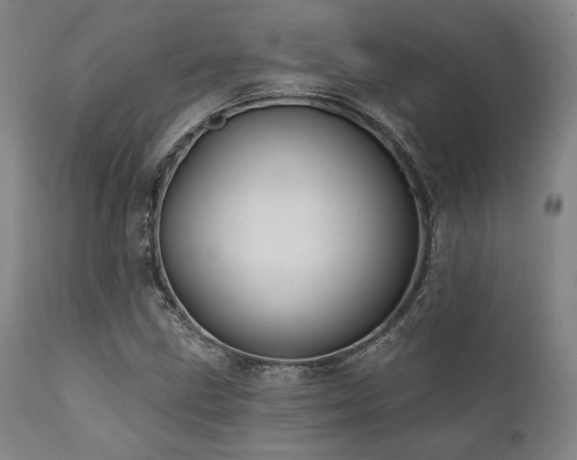 X0000112031211200908031428