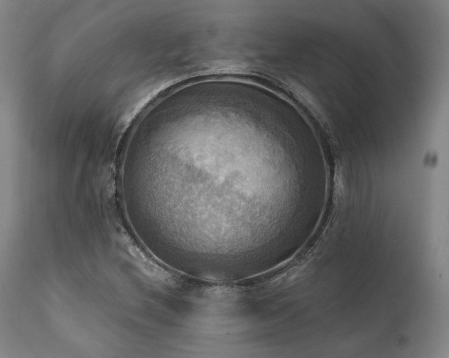 X0000112031212200908031428