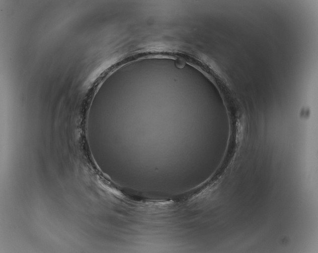 X0000112031213200908031428