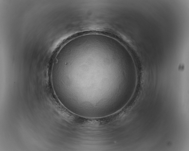 X0000112031214200908031428