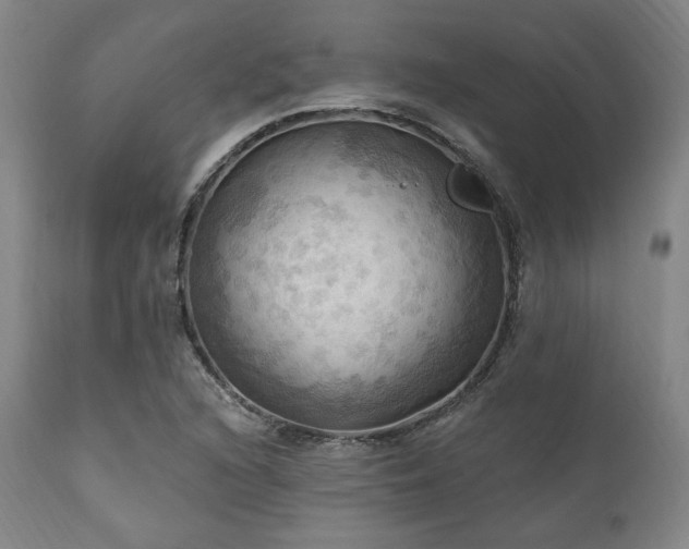 X0000112031216200908031428