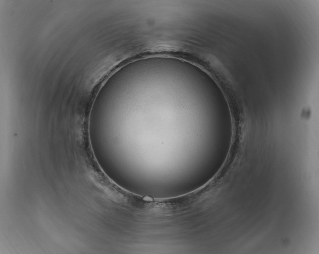 X0000112031217200908031428