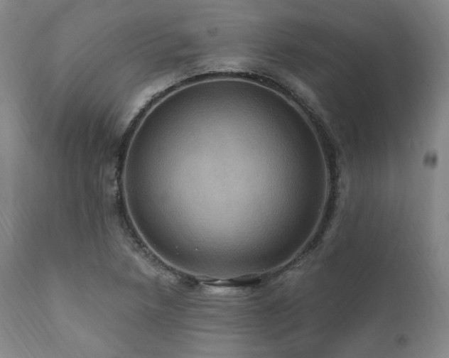 X0000112031218200908031428