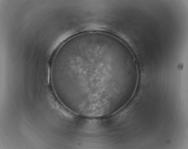 X0000112031219200908031428
