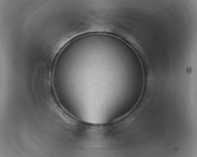 X0000112031220200908031428