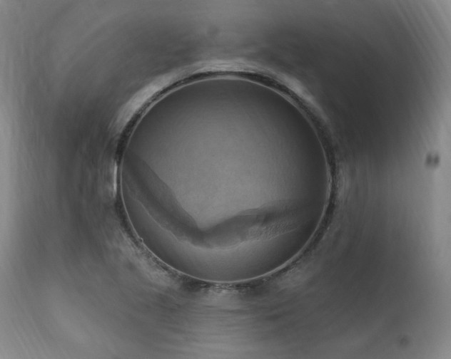 X0000112031221200908031428