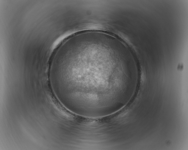 X0000112031222200908031428