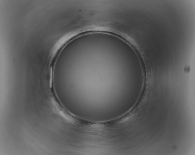 X0000112031223200908031428
