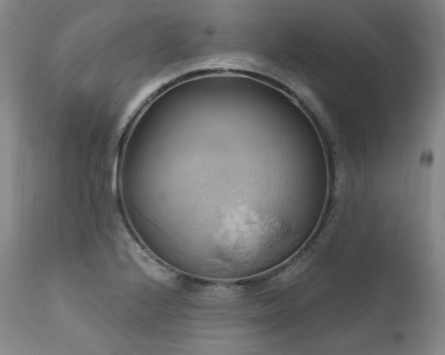 X0000112031224200908031428