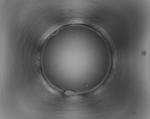 X0000112031225200908031428