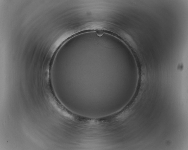 X0000112031226200908031428
