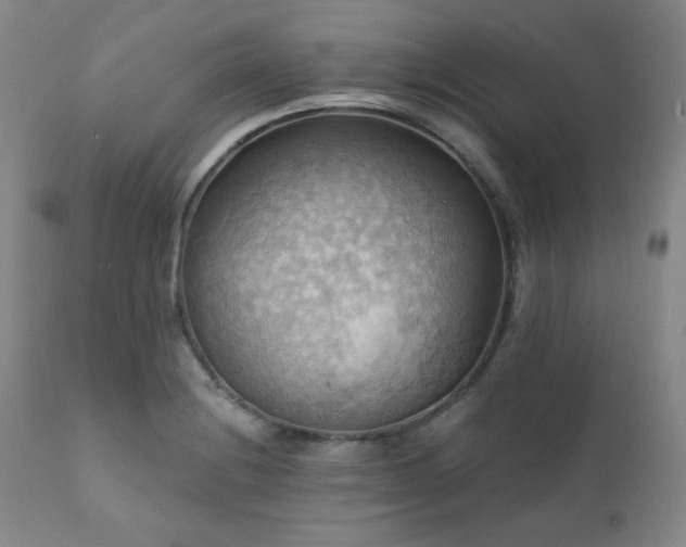 X0000112031228200908031428