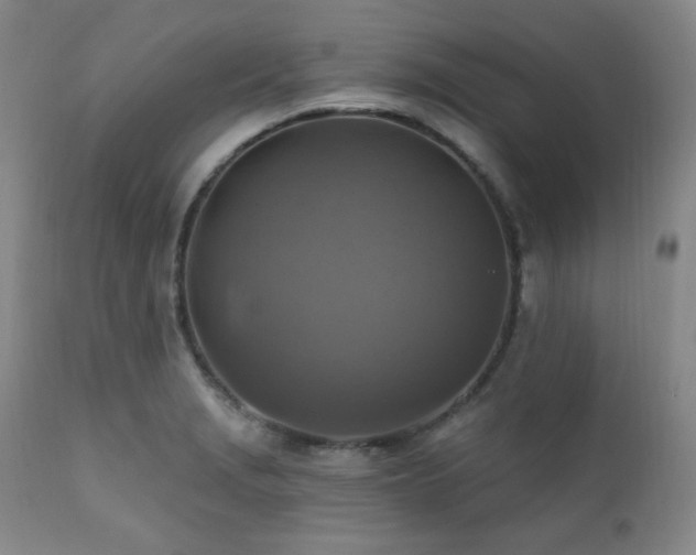 X0000112031229200908031428