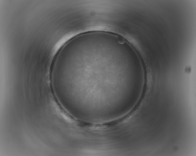X0000112031230200908031428