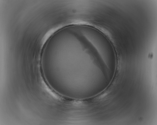 X0000112031231200908031428