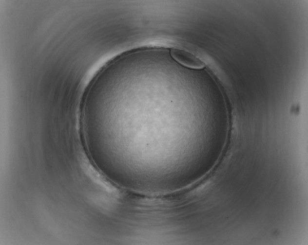 X0000112031232200908031428