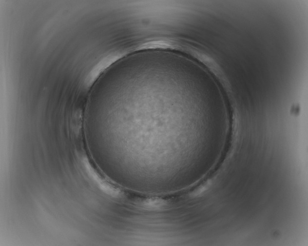 X0000112031233200908031428