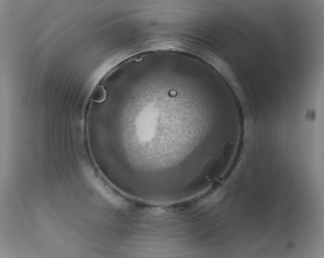 X0000112031234200908031428