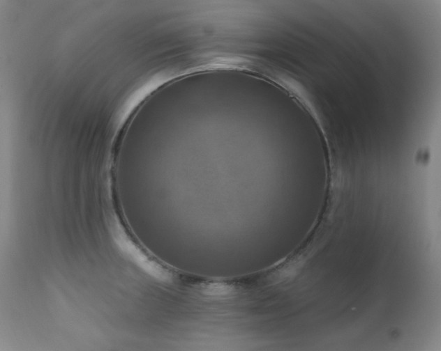 X0000112031235200908031428