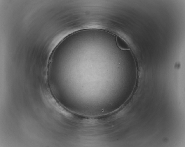 X0000112031236200908031428