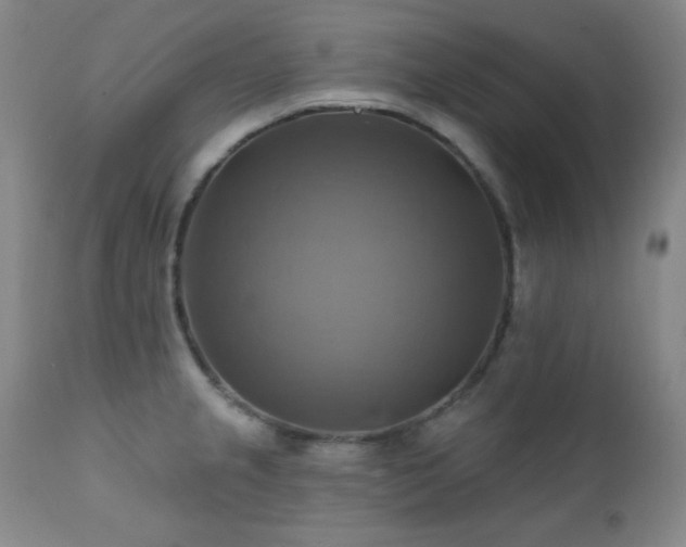 X0000112031237200908031428