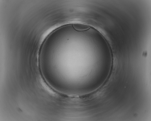 X0000112031238200908031428