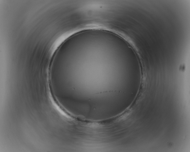 X0000112031239200908031428