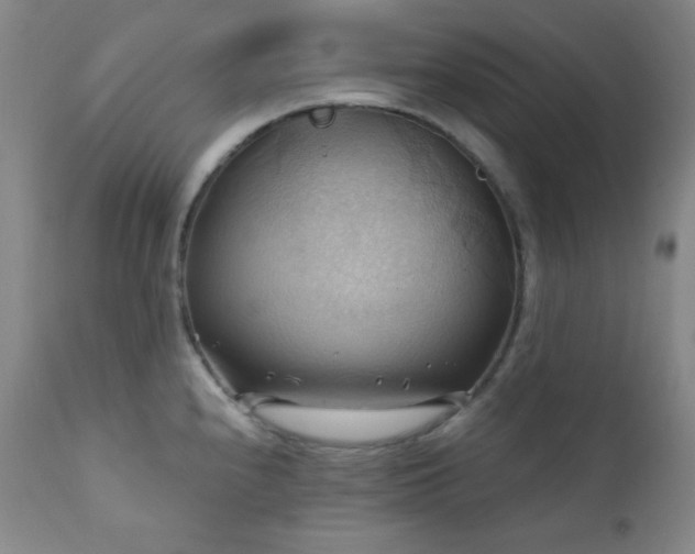X0000112031240200908031428