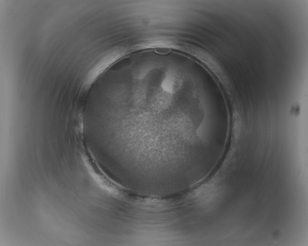 X0000112031241200908031428