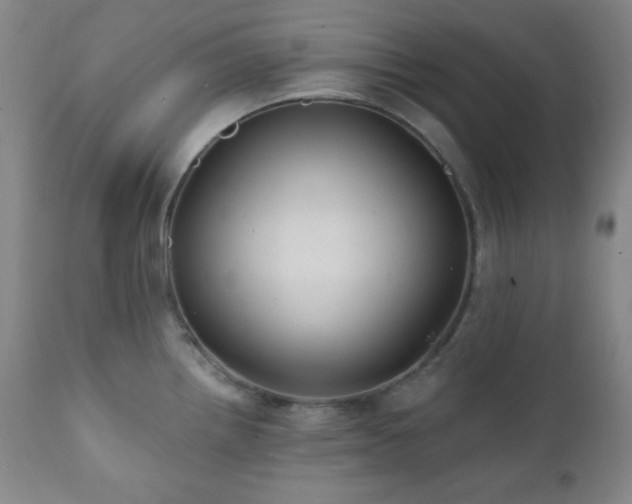 X0000112031242200908031428