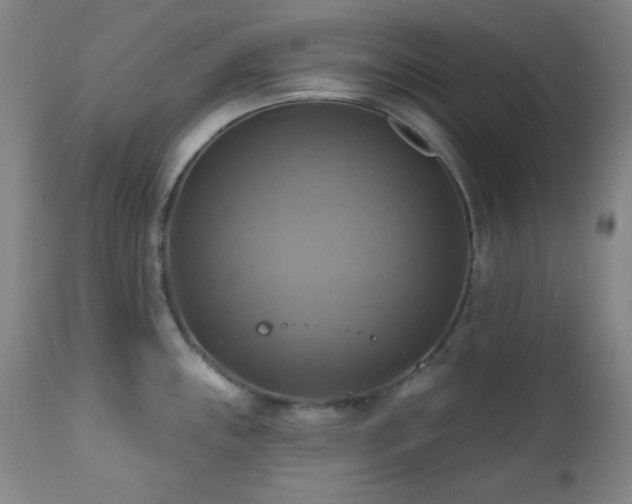 X0000112031243200908031428