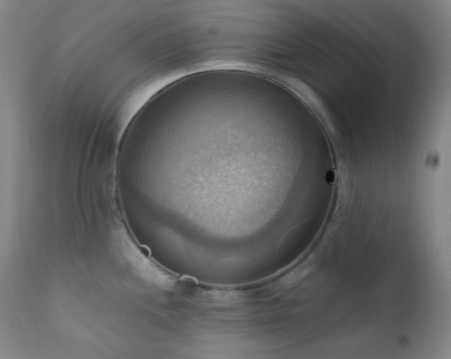 X0000112031244200908031428