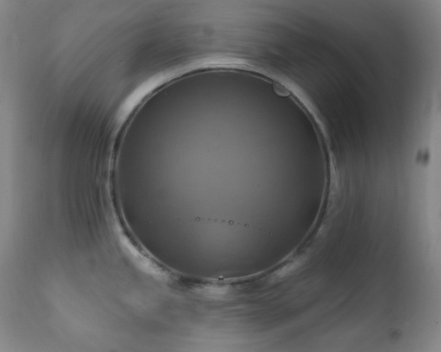 X0000112031245200908031428
