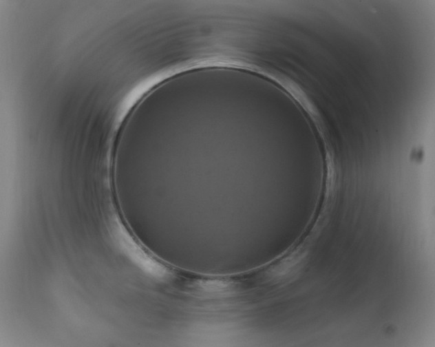 X0000112031246200908031428