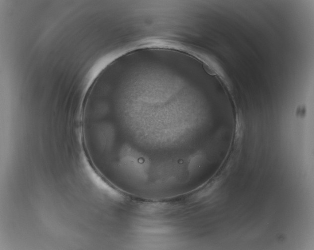X0000112031247200908031428
