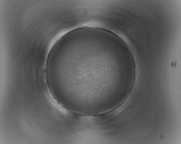 X0000112031248200908031428