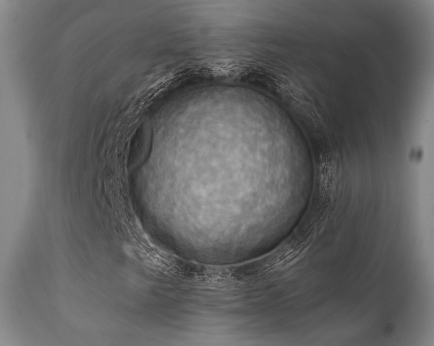 X0000112031249200908031428