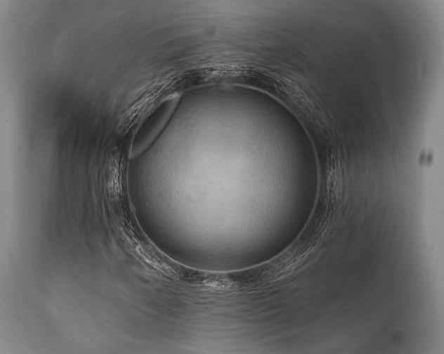 X0000112031250200908031428