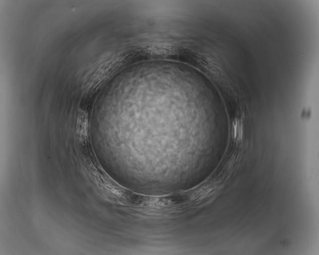 X0000112031251200908031428