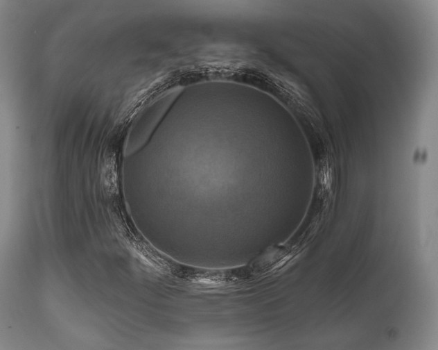 X0000112031252200908031428