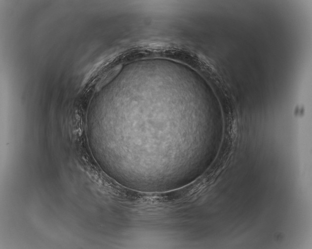 X0000112031253200908031428