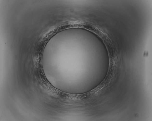 X0000112031254200908031428