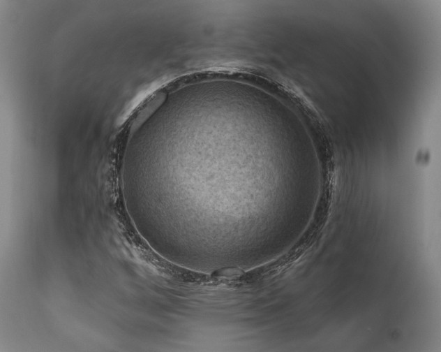 X0000112031256200908031428