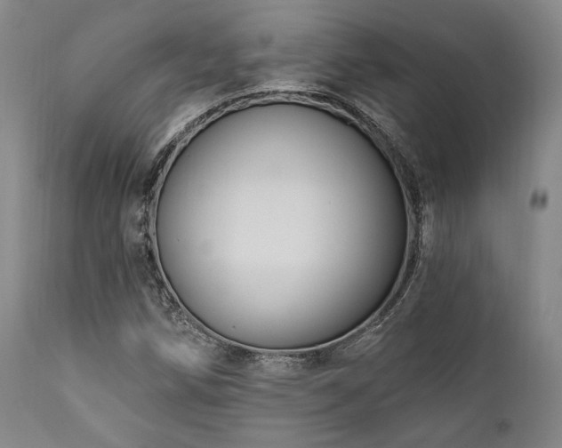 X0000112031258200908031427