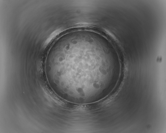 X0000112031259200908031427